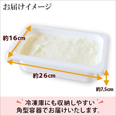 【のし付】【北海道】業務用 アイスクリーム ソルトロック 2L 手作り ジェラート 613