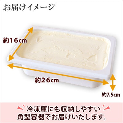 【北海道】業務用 アイスクリーム みるく 2L 手作り ジェラート 594