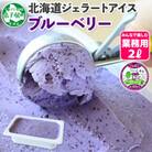 【北海道】業務用 アイスクリーム ブルーベリー 2L 手作り ジェラート 604