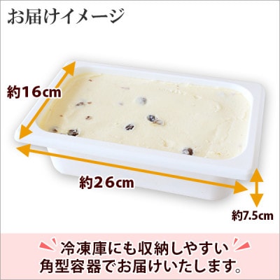 【北海道】業務用 アイスクリーム ラムレーズン 2L 手作り ジェラート 605