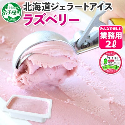 【北海道】業務用 アイスクリーム ラズベリー 2L 手作り ジェラート 608