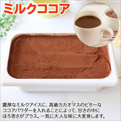 【北海道】業務用 アイスクリーム ココア 2L 手作り ジェラート 634