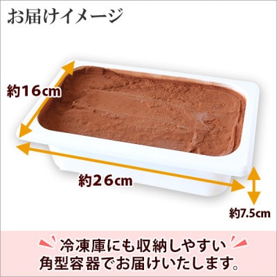 【北海道】業務用 アイスクリーム ココア 2L 手作り ジェラート 634