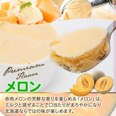 くりーむ童話のカップアイスクリーム メロン 100ml×6個 手作り 北海道 弟子屈町 2327