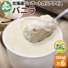 くりーむ童話のカップアイスクリーム バニラ 100ml×6個 手作り 北海道 弟子屈町 2329
