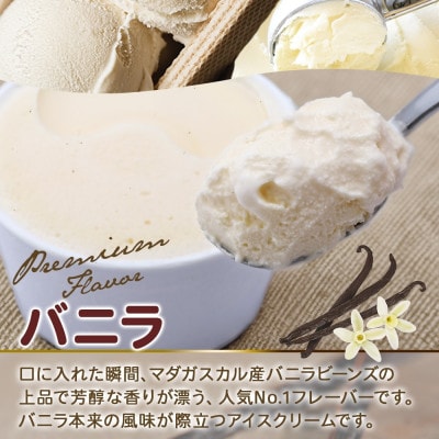 くりーむ童話のカップアイスクリーム バニラ 100ml×6個 手作り 北海道 弟子屈町 2329