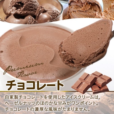 くりーむ童話のカップアイスクリーム チョコレート 100ml×6個 北海道 弟子屈町 2330