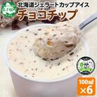 くりーむ童話のカップアイスクリーム チョコチップ 100ml×6個 北海道 弟子屈町 2335