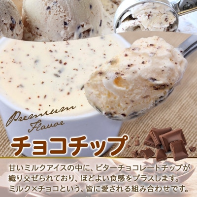 くりーむ童話のカップアイスクリーム チョコチップ 100ml×6個 北海道 弟子屈町 2335