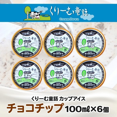 くりーむ童話のカップアイスクリーム チョコチップ 100ml×6個 北海道 弟子屈町 2335