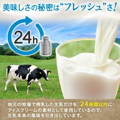 くりーむ童話のカップアイスクリーム チョコチップ 100ml×6個 北海道 弟子屈町 2335
