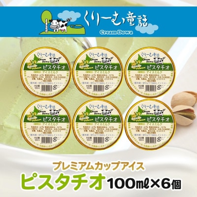 くりーむ童話のカップアイスクリーム ピスタチオ 100ml×6個 手作り 北海道 弟子屈町 2337