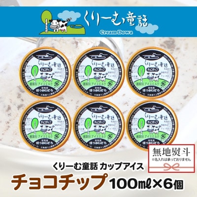 【のし付】 くりーむ童話のカップアイス チョコチップ 100ml×6個 北海道 弟子屈町 2335
