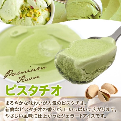 【のし付】 くりーむ童話のカップアイス ピスタチオ 100ml×6個 北海道 弟子屈町 2337