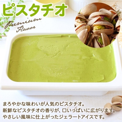 くりーむ童話のアイスクリーム ピスタチオ 2L 北海道 弟子屈町 2351