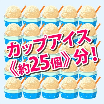 【のし付】くりーむ童話のアイスクリーム ピスタチオ 2L 北海道 弟子屈町 2351