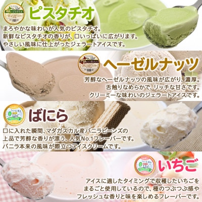 くりーむ童話のカップアイスクリーム 100ml×8個 手作り 北海道 弟子屈町 2353