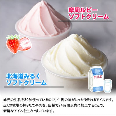 【2ヵ月毎定期便】北海道のアイスクリーム15個&ソフトクリーム2種 食べ比べ 全2回