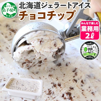 【2ヵ月毎定期便】【北海道】業務用アイスクリーム2L 手作り(チョコチップ・ごま) 全2回