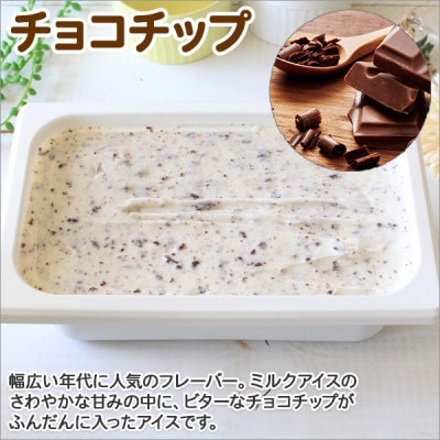 【2ヵ月毎定期便】【北海道】業務用アイスクリーム2L 手作り(チョコチップ・ごま) 全2回