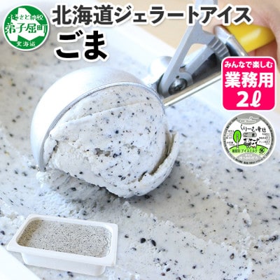 【2ヵ月毎定期便】【北海道】業務用アイスクリーム2L 手作り(チョコチップ・ごま) 全2回