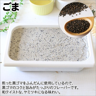 【2ヵ月毎定期便】【北海道】業務用アイスクリーム2L 手作り(チョコチップ・ごま) 全2回