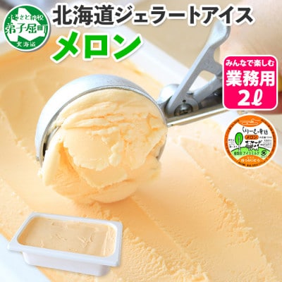 【2ヵ月毎定期便】【北海道】業務用アイスクリーム2L 手作り(みるく・メロン) 全2回