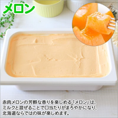 【2ヵ月毎定期便】【北海道】業務用アイスクリーム2L 手作り(みるく・メロン) 全2回