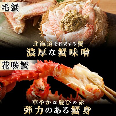 四大蟹 タラバ足 ズワイ足 毛蟹 花咲蟹 セット 蟹ハサミ・ガイド付 北海道 弟子屈町 2120