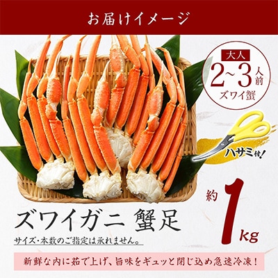 ズワイガニ足 約1kg 2-3人前 蟹ハサミ・ガイド付 ボイル済み 北海道 弟子屈町 2932