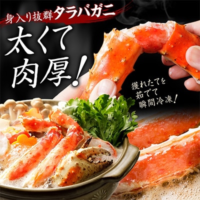 タラバガニ足 約800g 2人前 蟹ハサミ・ガイド付 3~4Lサイズ 北海道 弟子屈町 3177