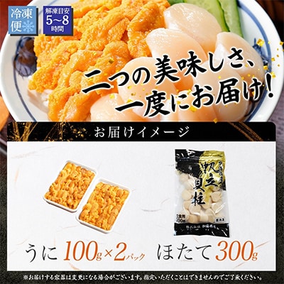 ウニ 200g & ホタテ 300g 海鮮 海鮮丼セット 北海道 弟子屈町 3183