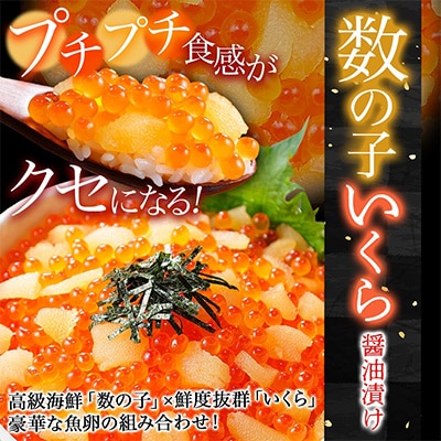 数の子・いくら醤油漬け 計400g 魚卵づくし おかず 北海道 弟子屈町 2530