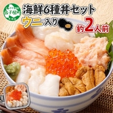 厳選 6種 海鮮丼 雲丹　Aセット 300g 約2人前 北海道 弟子屈町 1802