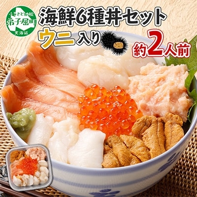 厳選 6種 海鮮丼 雲丹 Aセット 300g 約2人前 北海道 弟子屈町 1802