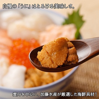 厳選 6種 海鮮丼 雲丹 Aセット 300g 約2人前 北海道 弟子屈町 1802