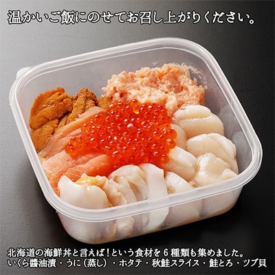 厳選 6種 海鮮丼 雲丹 Aセット 300g 約2人前 北海道 弟子屈町 1802