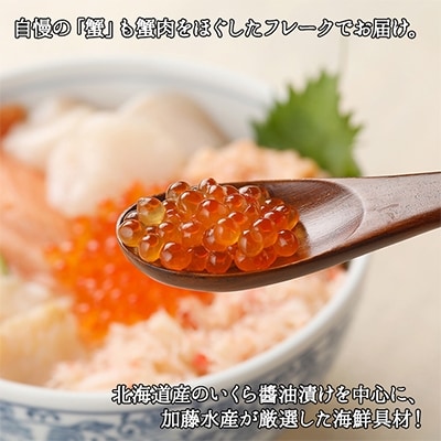 厳選 6種 海鮮丼 蟹 Bセット300g 約2人前 北海道 弟子屈町 1969