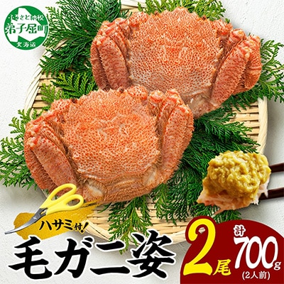 毛蟹 姿 2尾 計700g前後 ボイル 食べ方ガイド・専用ハサミ付 北海道 弟子屈町 2458