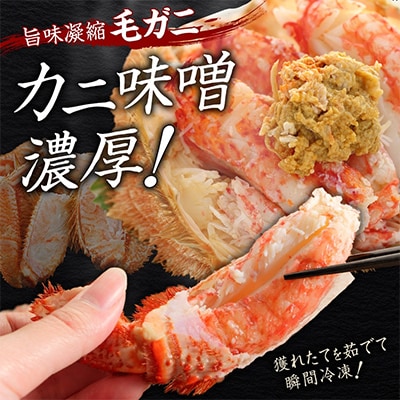 毛蟹 姿 2尾 計700g前後 ボイル 食べ方ガイド・専用ハサミ付 北海道 弟子屈町 2458