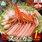 紅ズワイガニしゃぶ 約1kg 殻カット不要(ガイド付) 北海道 弟子屈町 3395