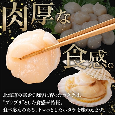 ほたて貝柱 500g×1袋 北海道 弟子屈町 3384