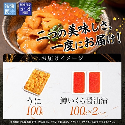 雲丹 100g 鱒いくら 100g×2個  うに チリ産 ます いくら 北海道 弟子屈町 2499