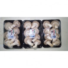 摩周産菌床生椎茸「摩周大王」　900g(3パック)