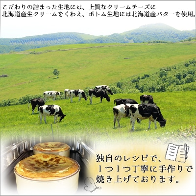 【北海道】数量限定 COVOプレミアムベイクドチーズケーキ 1ホール 6号 直径18cm 2477