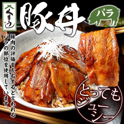 【北海道】豚丼 食べ比べ セット(バラ6食ロース6食)計12食 & 豚丼のタレ100ml付き 790
