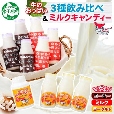 【北海道】牛のおっぱいミルク白3本・珈琲3本・のむヨーグルト3本・キャンディー1個セット 783