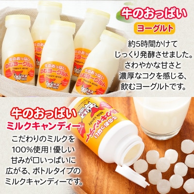 【北海道】牛のおっぱいミルク白3本・珈琲3本・のむヨーグルト3本・キャンディー1個セット 783