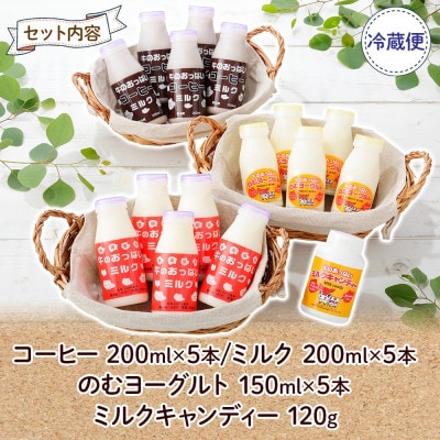 【北海道】牛のおっぱいミルク白5本・珈琲5本・のむヨーグルト5本・キャンディー1個セット 784