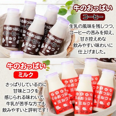 【北海道】渡辺体験牧場 ミルク&珈琲&のむヨーグルト&キャンディ&チーズケーキ&ジャム 785
